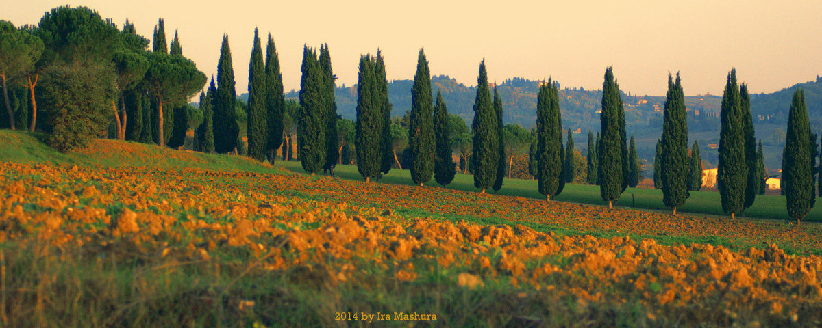 TOSCANA, 23/11/2014 © by iramashura - ira mashura