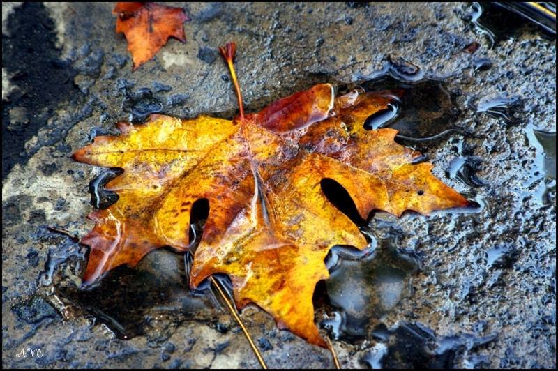 *** - AVETIS GHAZANCHYAN