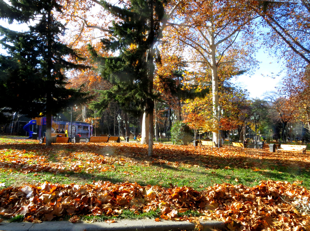 Осень в парке - Наталья (D.Nat@lia)