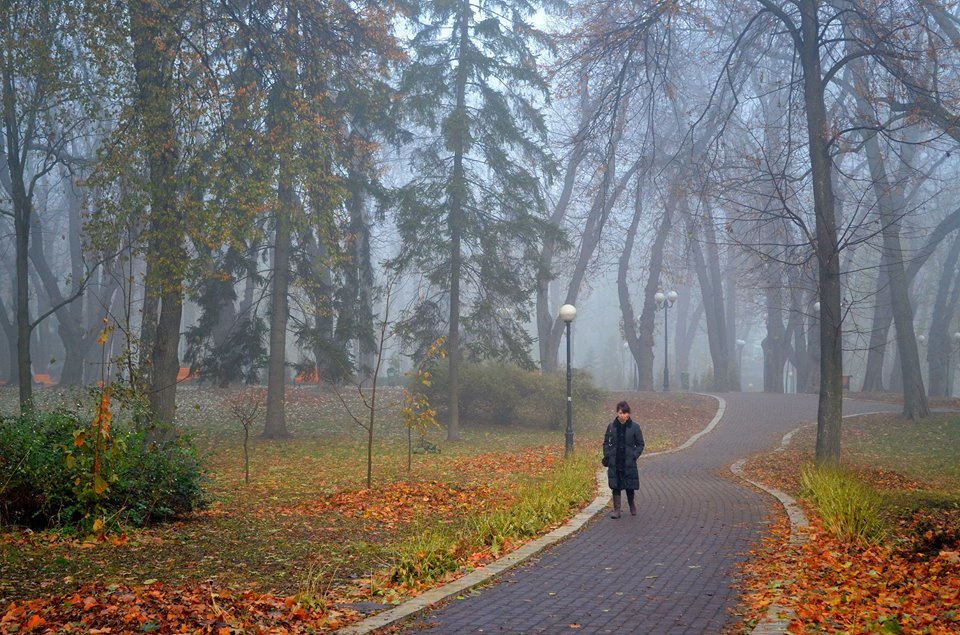 Утро в парке - Ростислав 