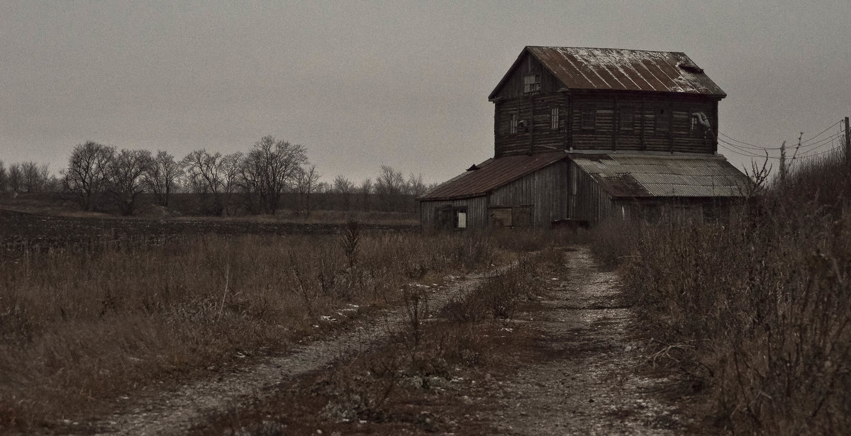 Забытый старый дом - Ирина Кулагина