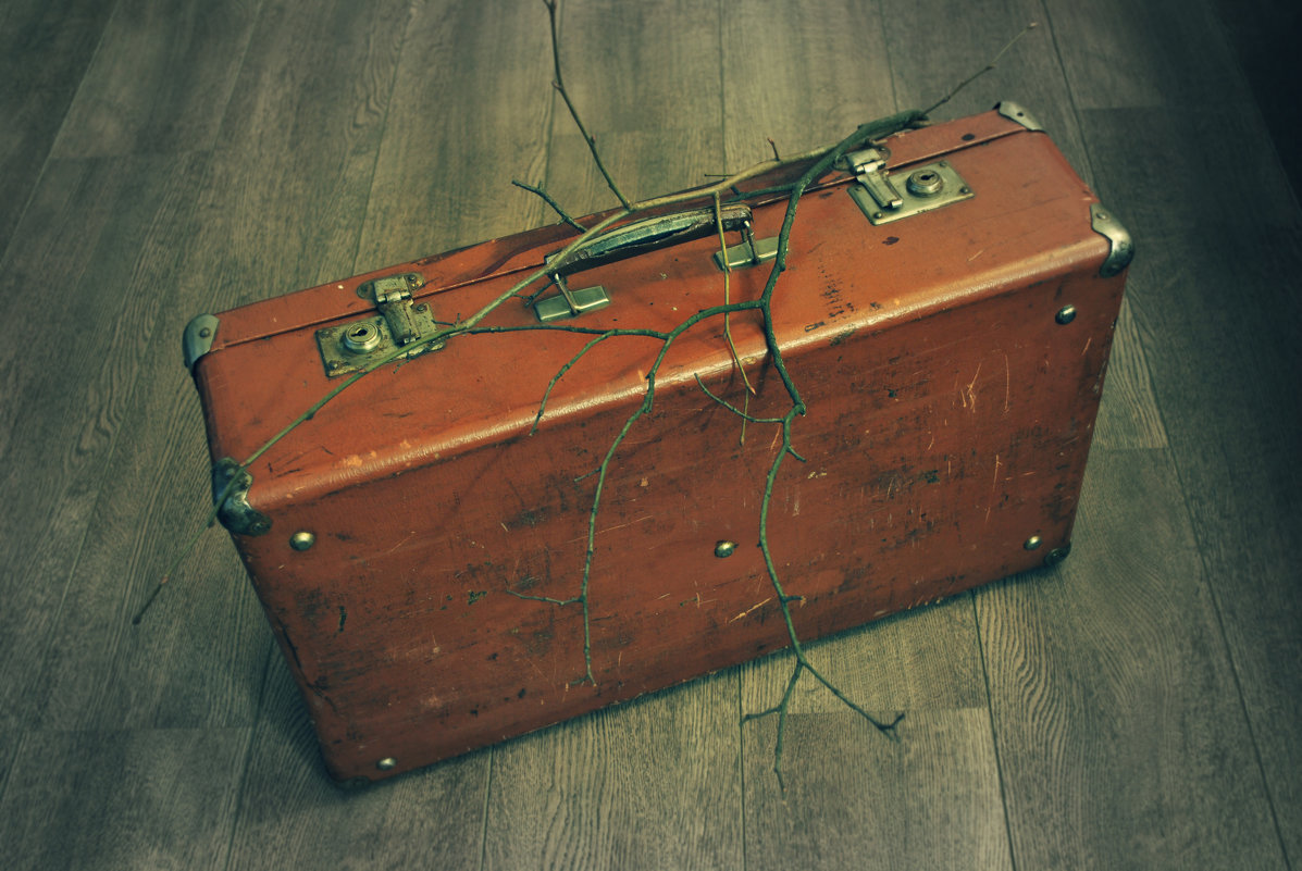 Новая жизнь старого чемодана - Nadin ***