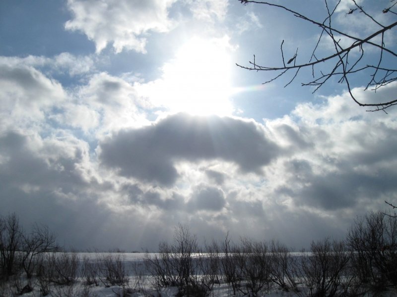 Ветер, солнце, облака - Вера Андреева