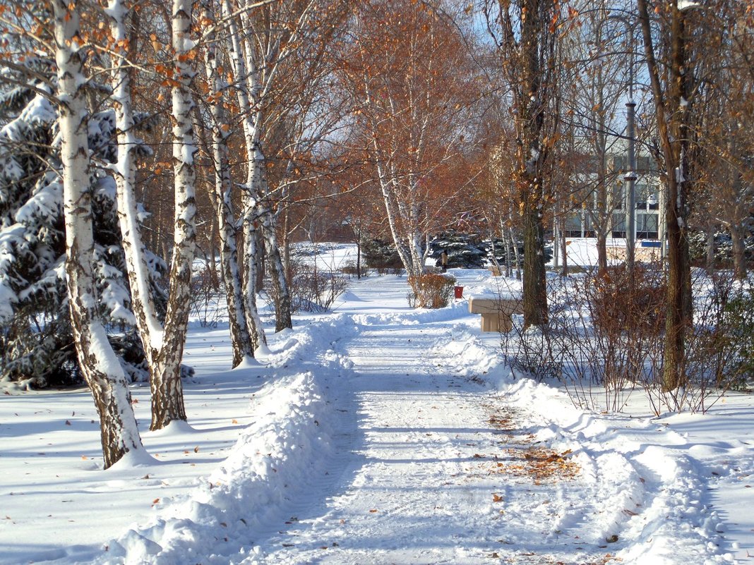 Зима в моём городе.. - Сергей Петров