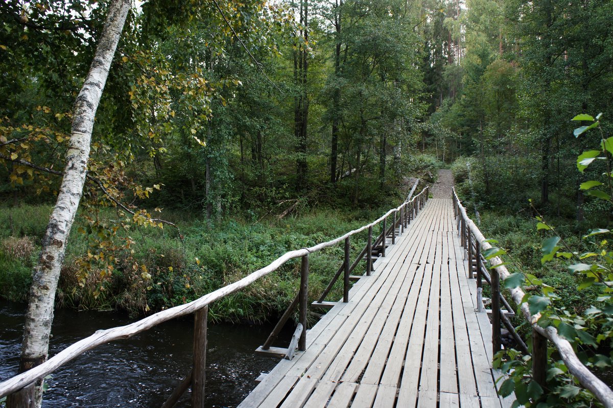 Мост через реку Волчья - Елена Павлова (Смолова)