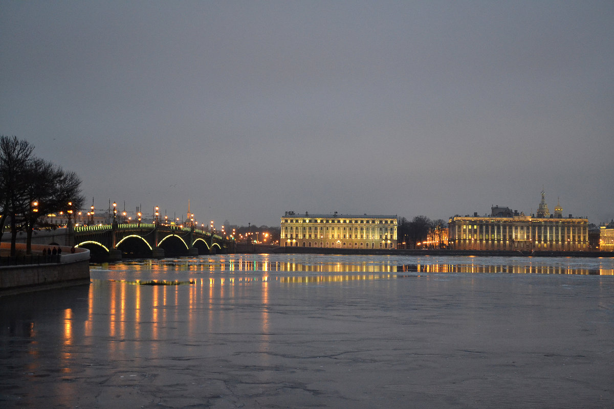 Троицкий мост - Наталья Левина