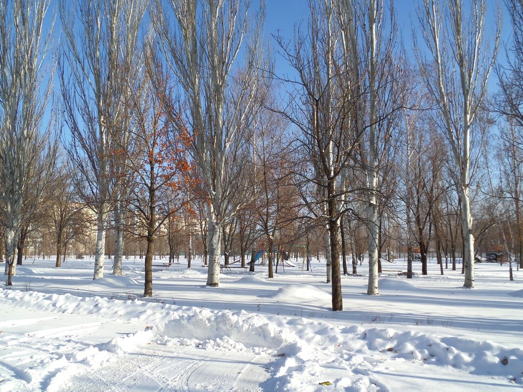 Зима в моём городе... - Сергей Петров