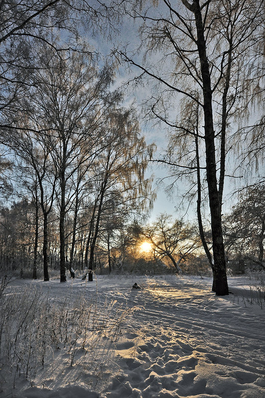 Морозный закат. - Горбушина Нина 