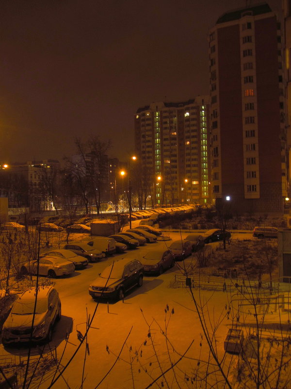IMG_6581 - Первый снег. Процесс пошел - Андрей Лукьянов