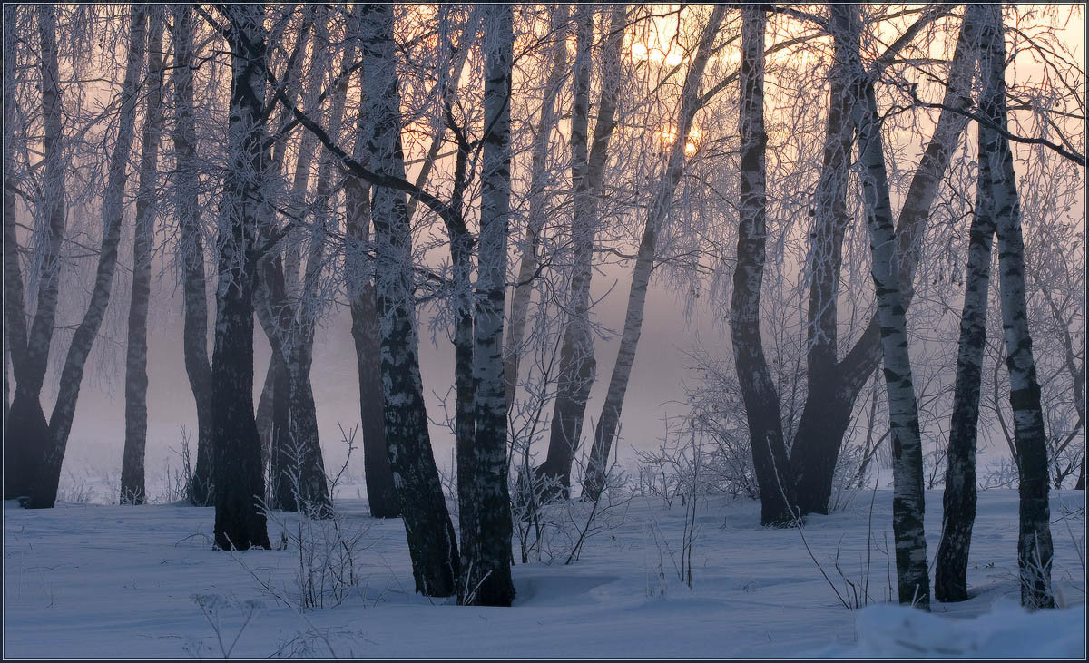 Зимний сон - Надежда Лаврова