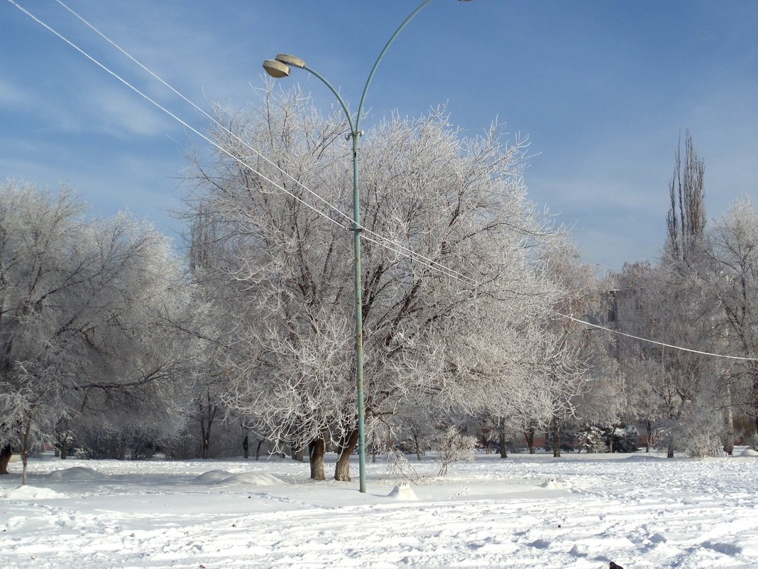 Зима в городе... - Сергей Петров