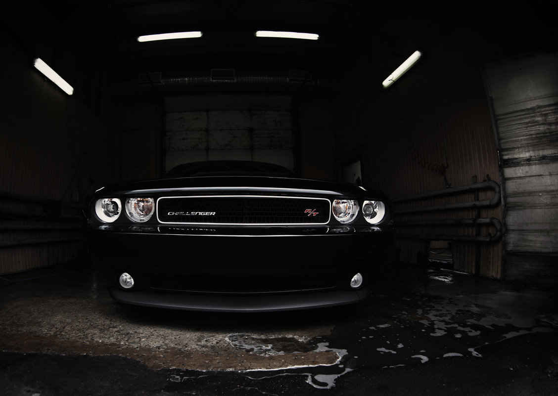 dodge challenger r/t - Дмитрий Егорочкин