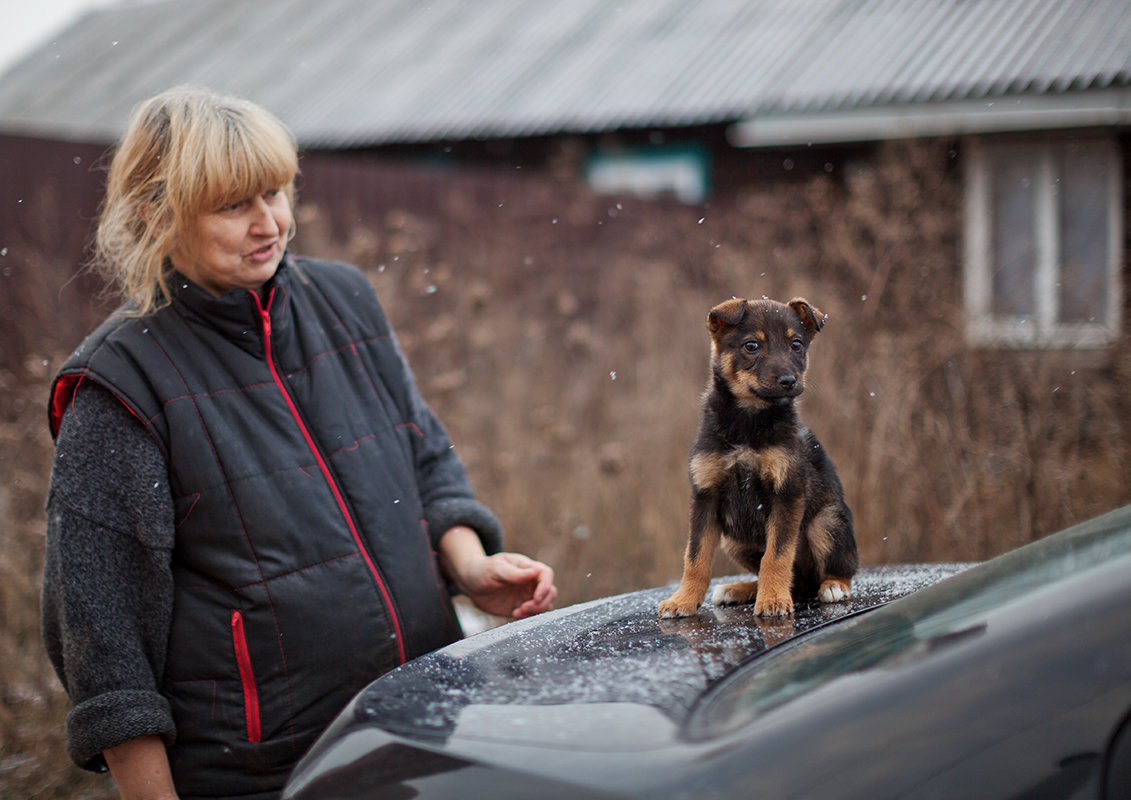 Наталья Беликова с новым питомцем приюта для бездомных собак - Анатолий Тимофеев