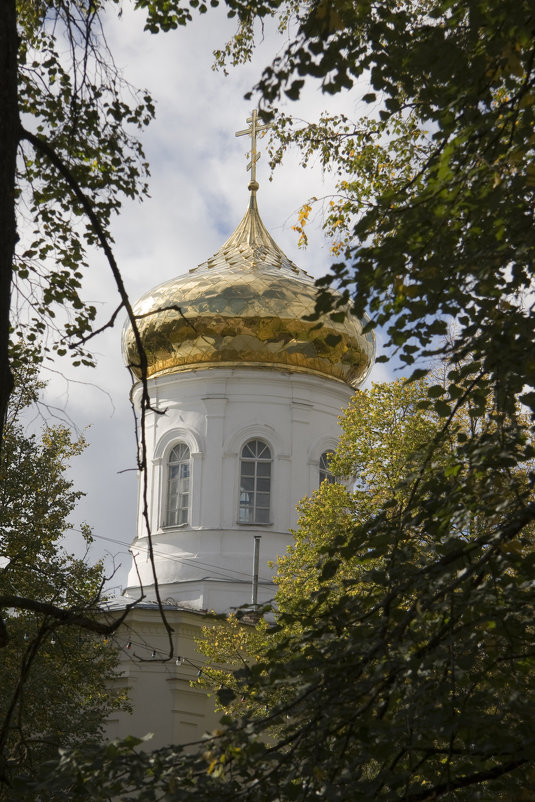 Золото куполов - Виктор Калабухов