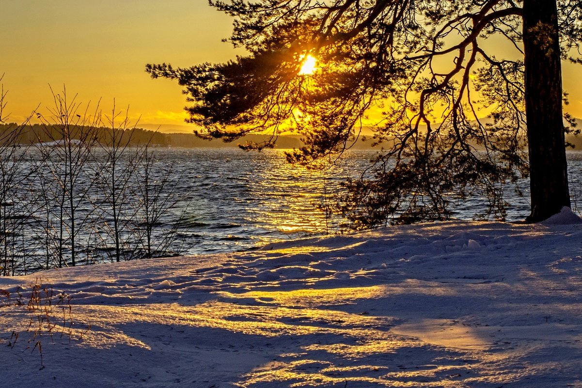 sunset on the lake - Dmitry Ozersky