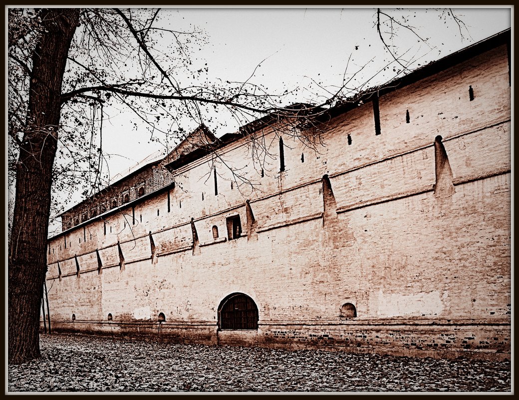 Монастырскя стена (Симонов монастырь. Москва) - Михаил Малец