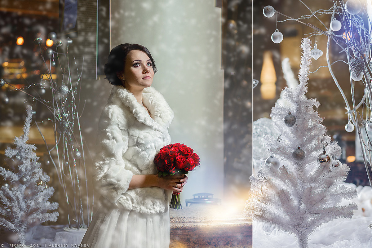 Зимняя свадьба - Алексей Камнев
