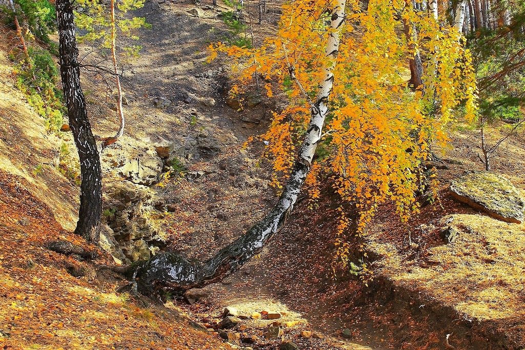 Осенний вальс - Галина Стрельченя