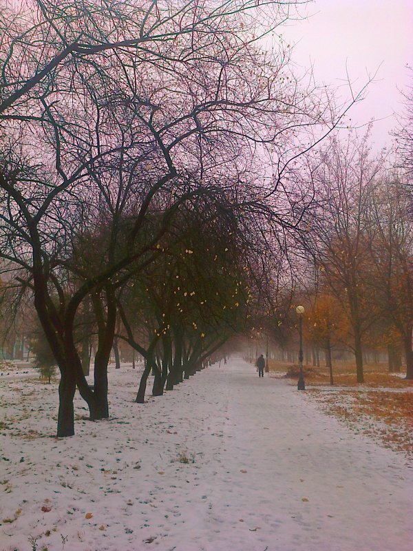 зимне-осення аллея - Евгения 