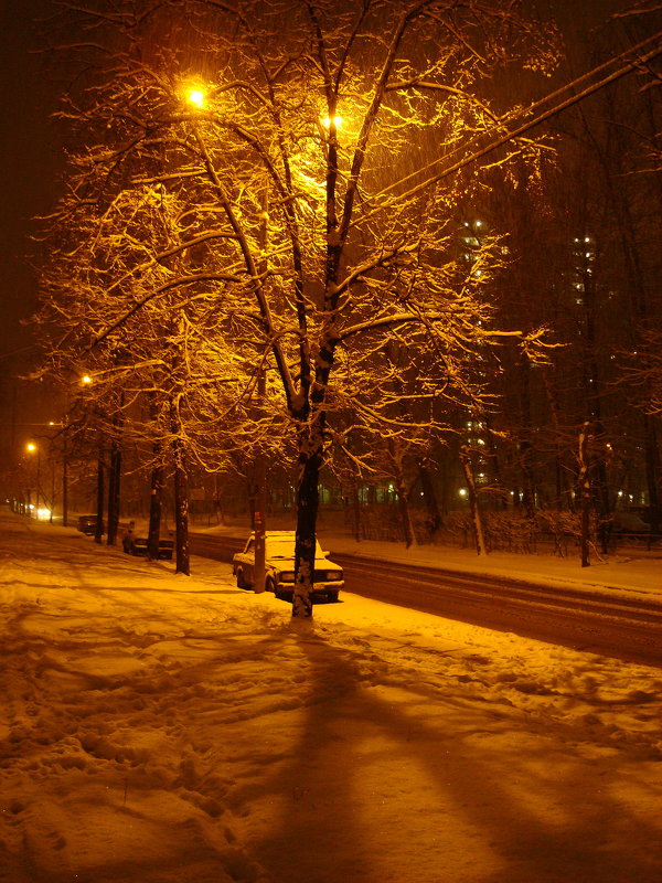 DSC09442 - В Москве - первый настоящий снег за эту зиму - Андрей Лукьянов