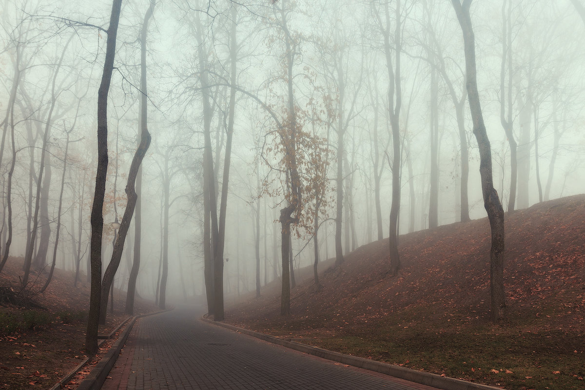 прогулка в тумане - александр макаренко