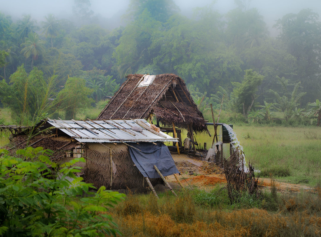 Эдуард Берелет - Раннее утро в ланкийской деревне - Фотоконкурс Epson