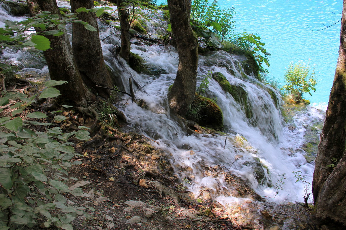 Плитвицкие водопады - Ольга 