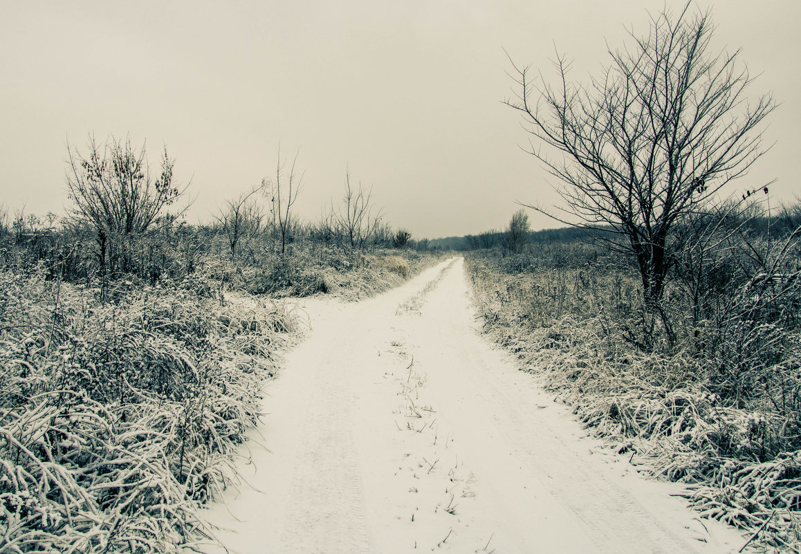 Зимняя дорога - Виктор 