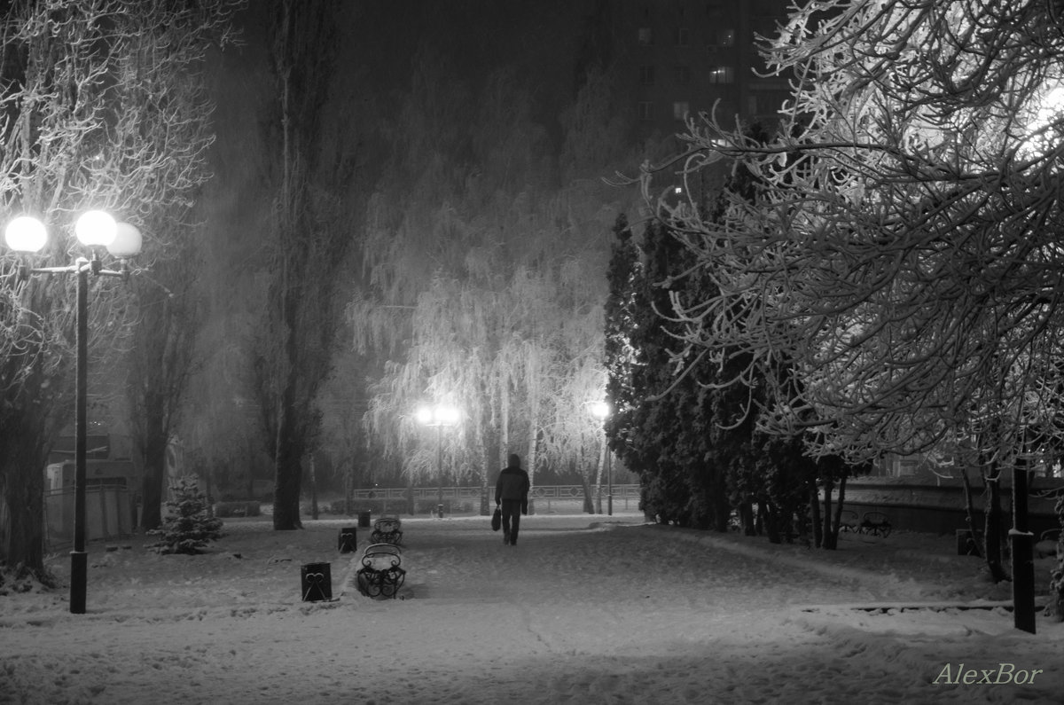 уходящий в снежную ночь... - Алексей Бортновский