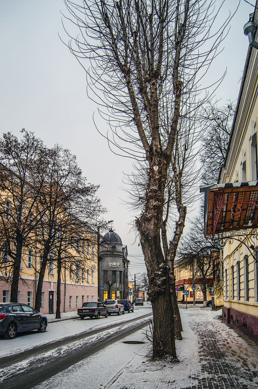 Дерево в зимнем городе - Михаил Михальчук