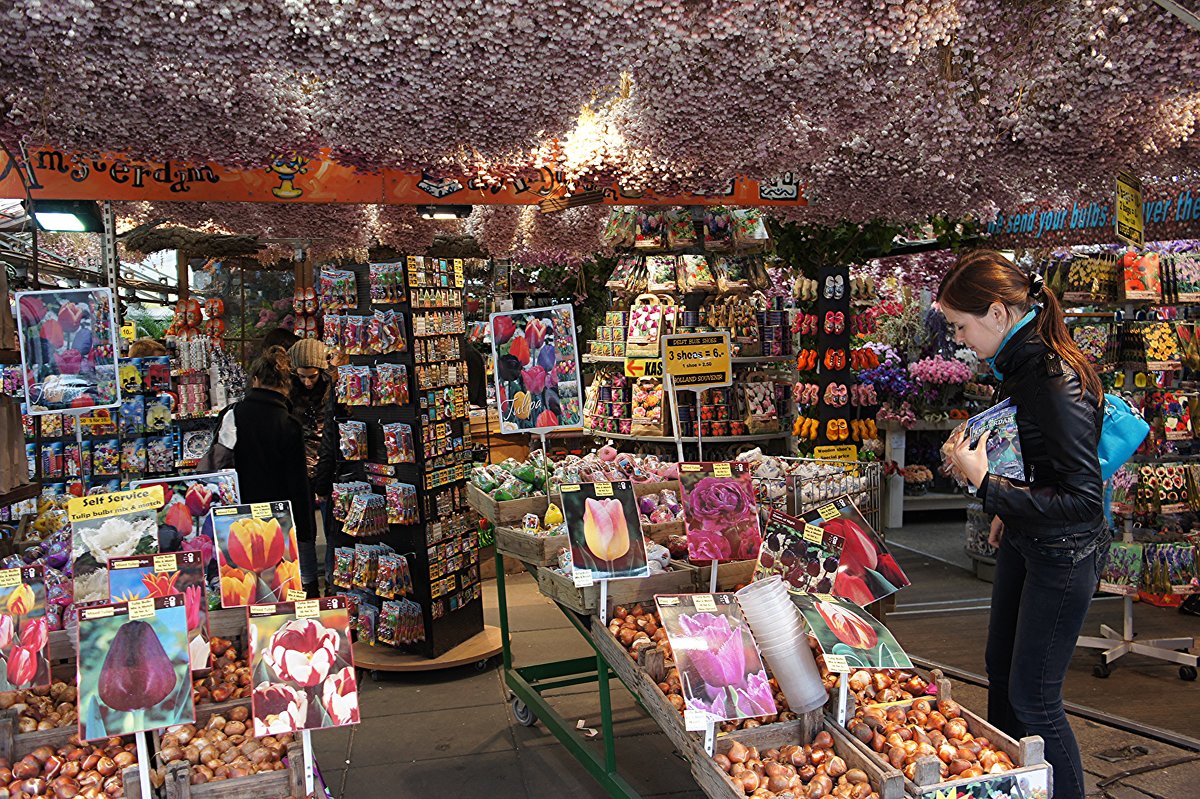 Цветочный рынок Амстердама - Елена Павлова (Смолова)