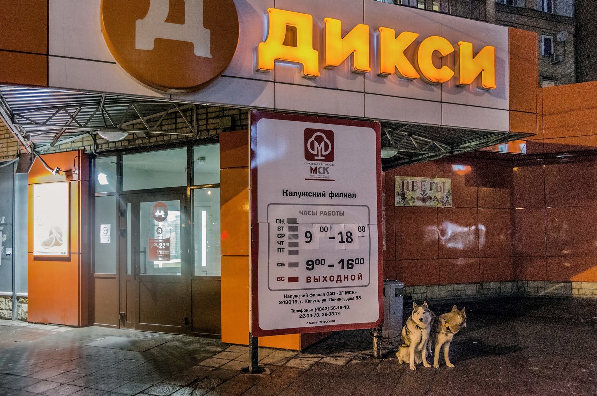 На собачьей упряжке в магазин - Михаил Михальчук