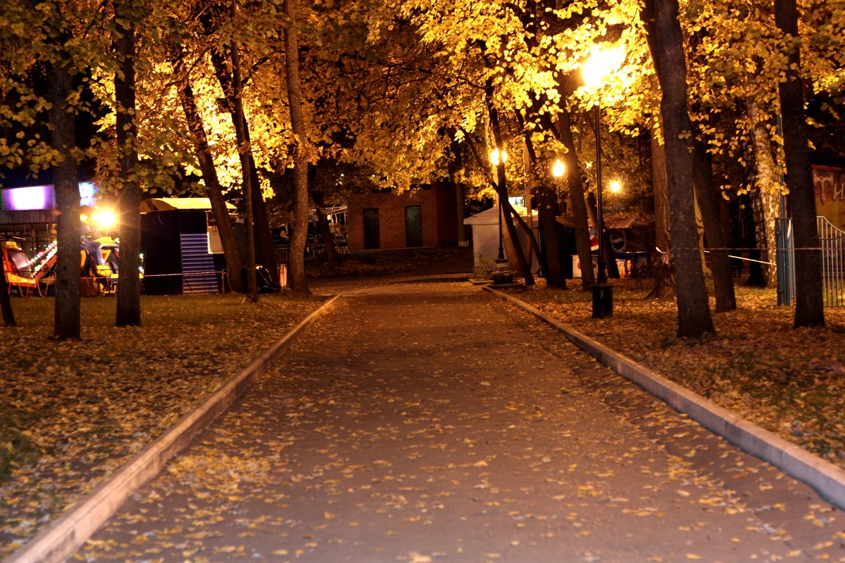 Осенний парк - Ирина 