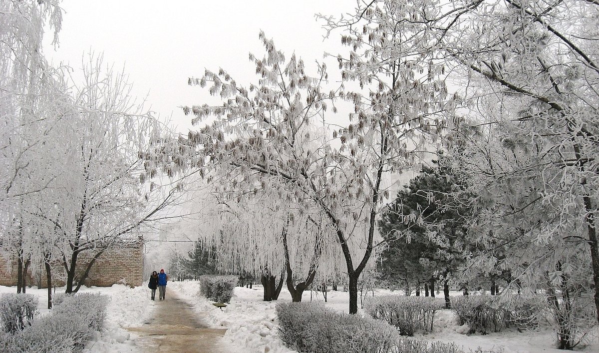 Прогулки по зиме - Natali 
