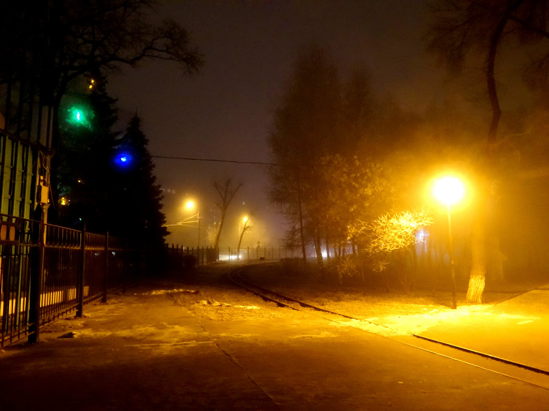 Туманный вечер в парке... - Тамара (st.tamara)