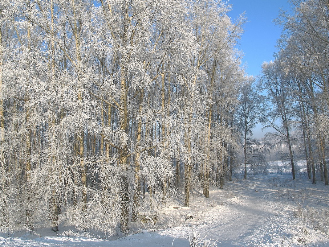 Зимний пейзаж - Нина северянка