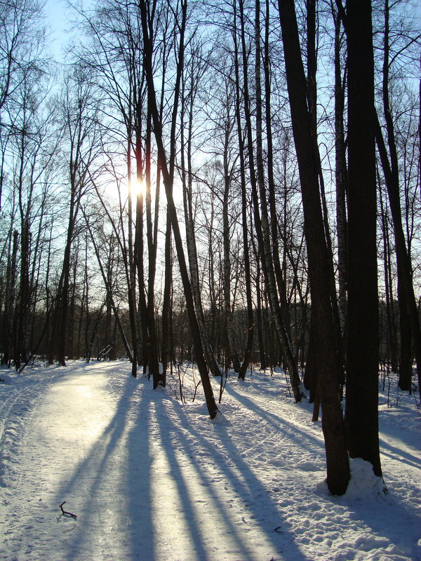 То, что ждешь каждую зиму - первые тени - Андрей Лукьянов
