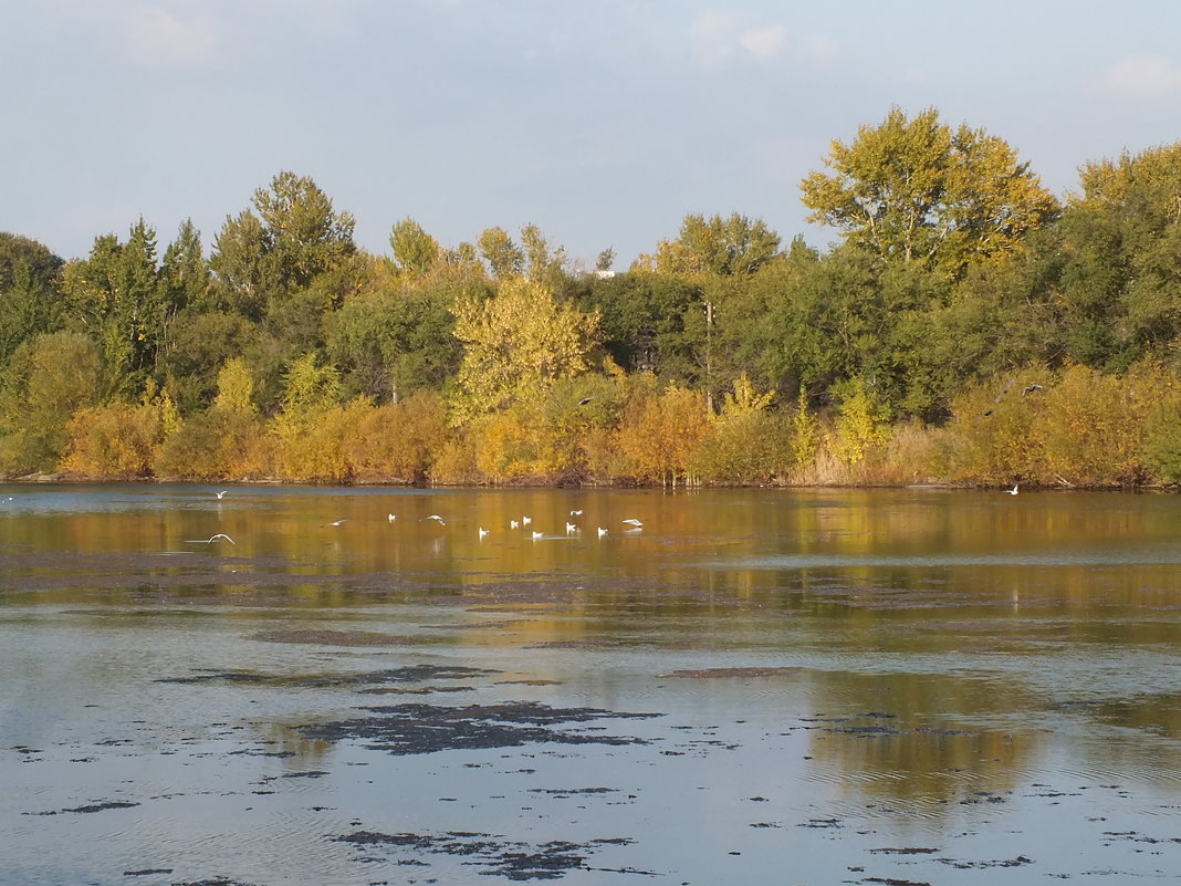 328. Осень в парке - Александр 