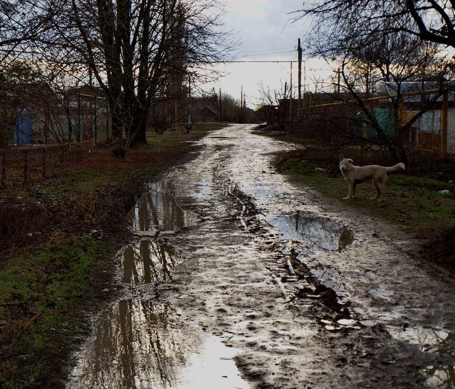 У природы нет плохой погоды. - Надежда 