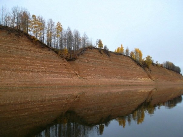 Улетели листья... - Александра Карпова