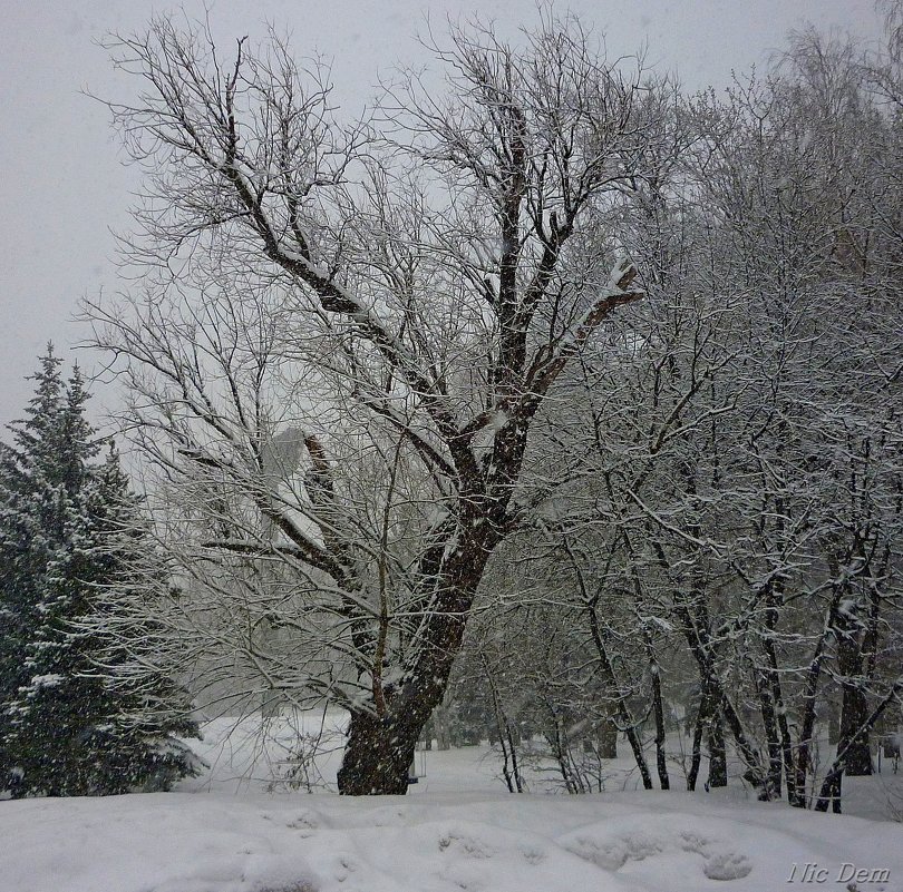 Снеговерть - Николай Дементьев 