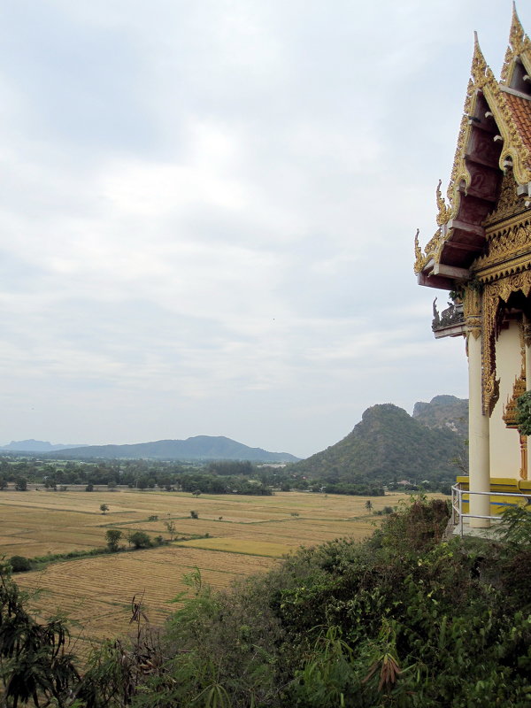 Таиланд - золото риса и золото храмов - Дмитрий Загорский