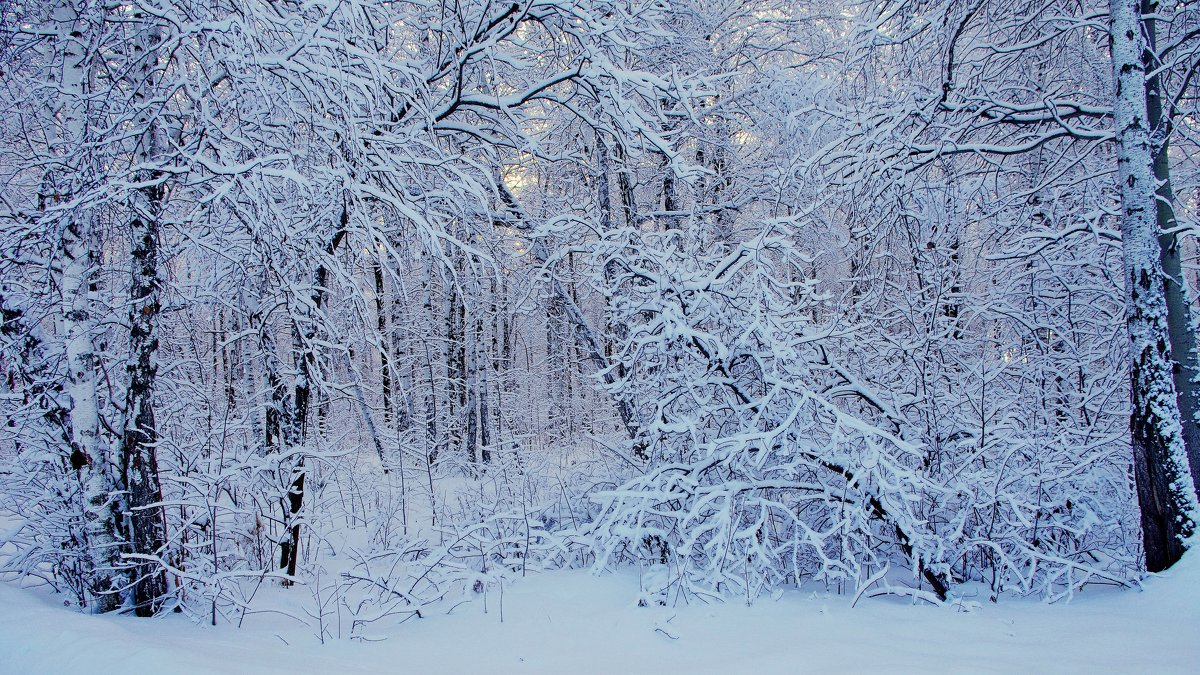 снежный пейзаж - Сергей Швечков