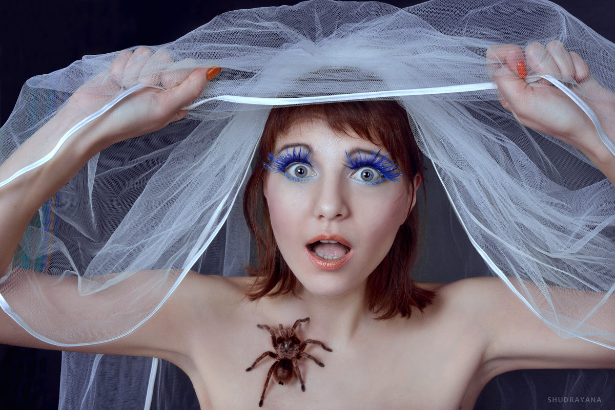 Свадебный паук - Яна Шудра