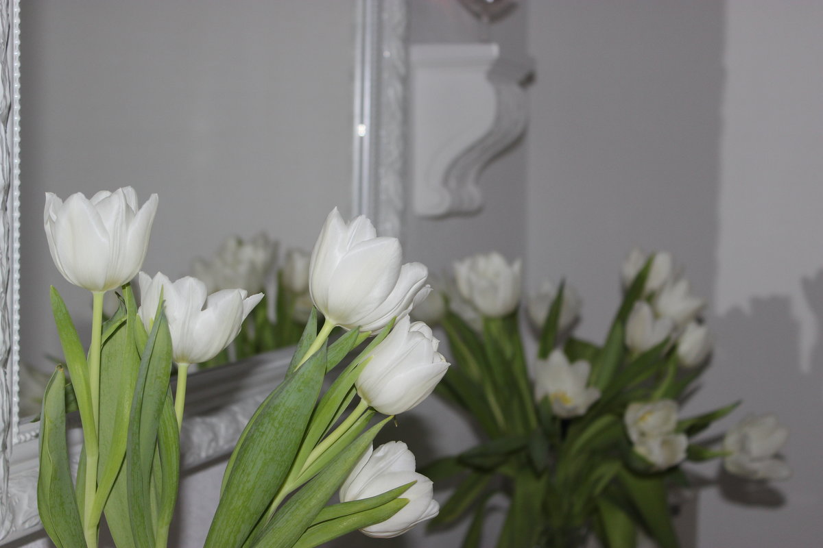 Любовь к белым тюльпанам - Mariya laimite