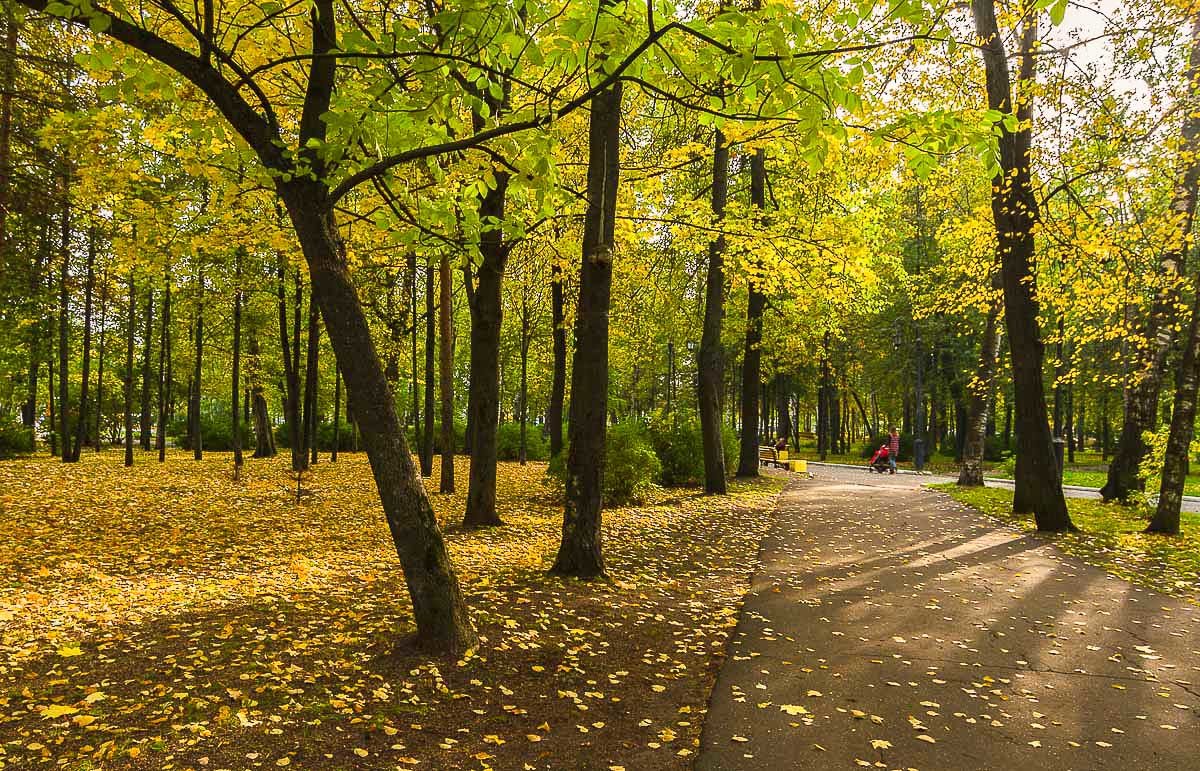 Осень в городском саду - Валентин Котляров
