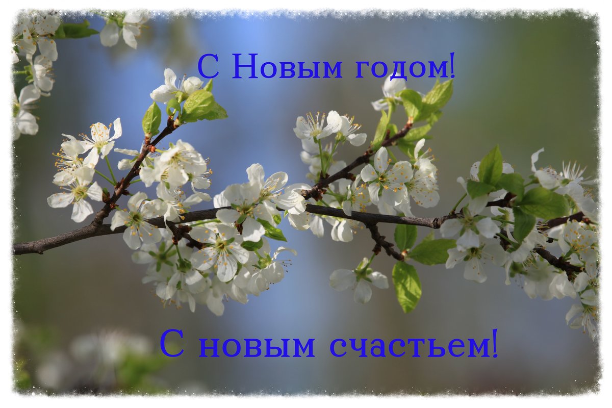 Пусть будет вечная в душе весна! - Irina Fabien