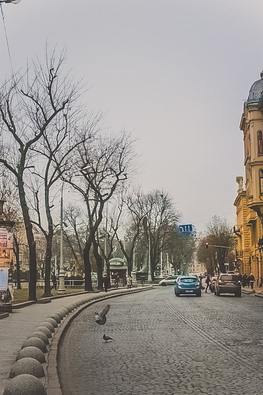 Lviv - Christina Shenrok