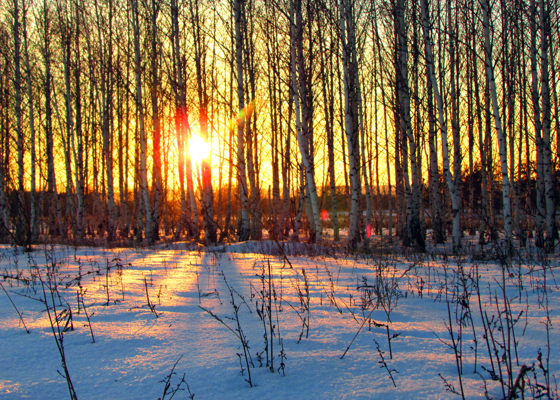 Зимний закат солнца - Константин Филякин
