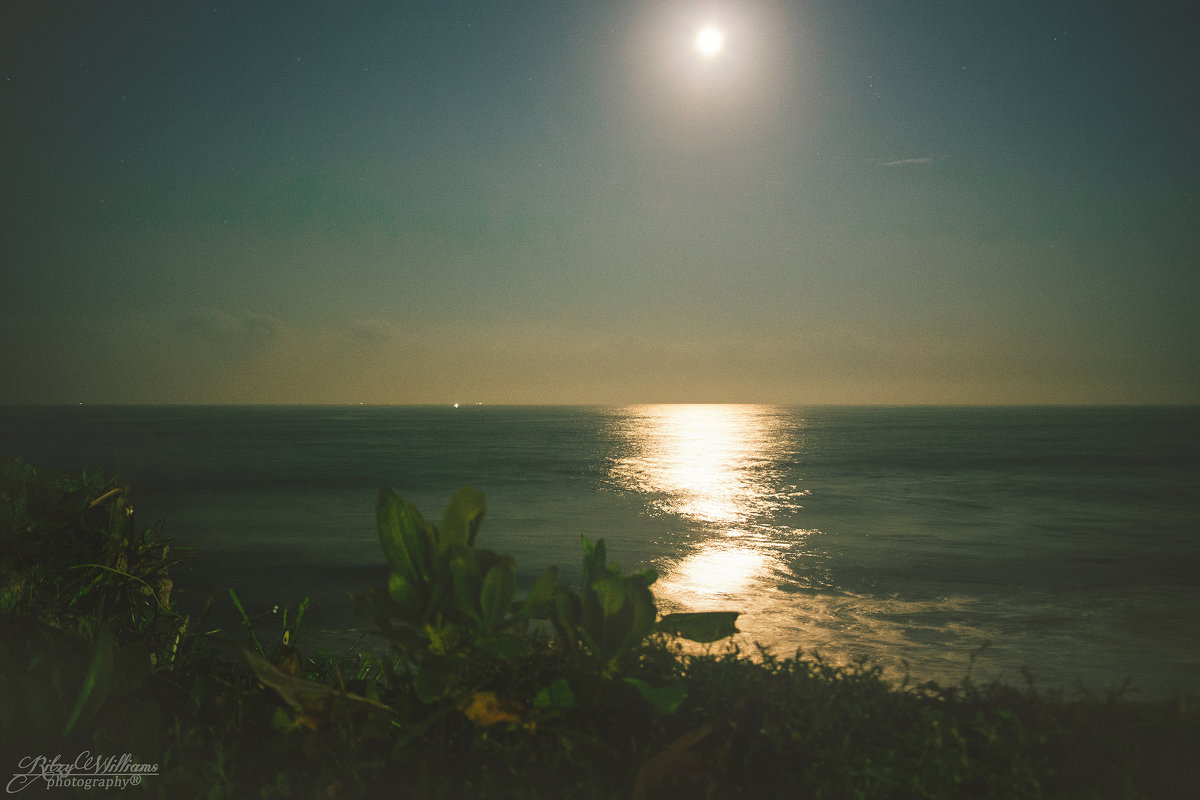 "новогодние ночь - луна над индийского океана" - Ritzy Williams